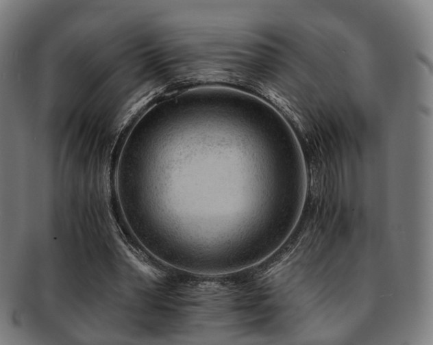 X0000091900390200709051407