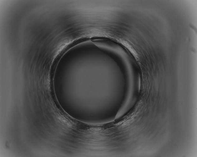 X0000091900391200709051407