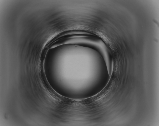 X0000091900392200709051407