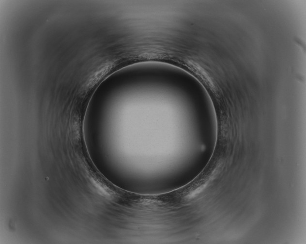 X0000091900393200709051407