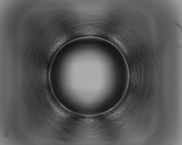 X0000091900394200709051407