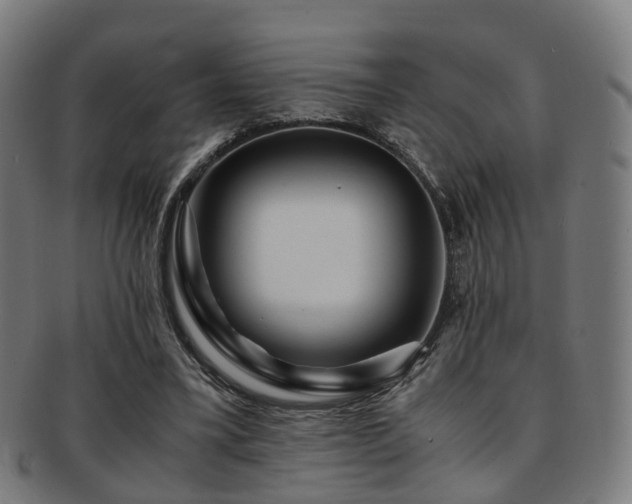 X0000091900395200709051407