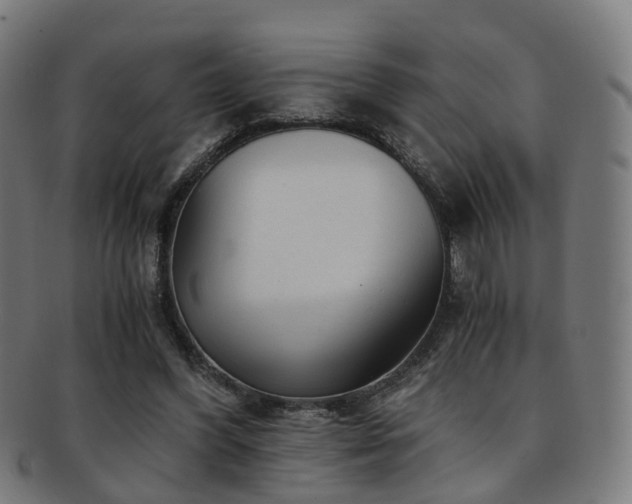 X0000091900396200709051407