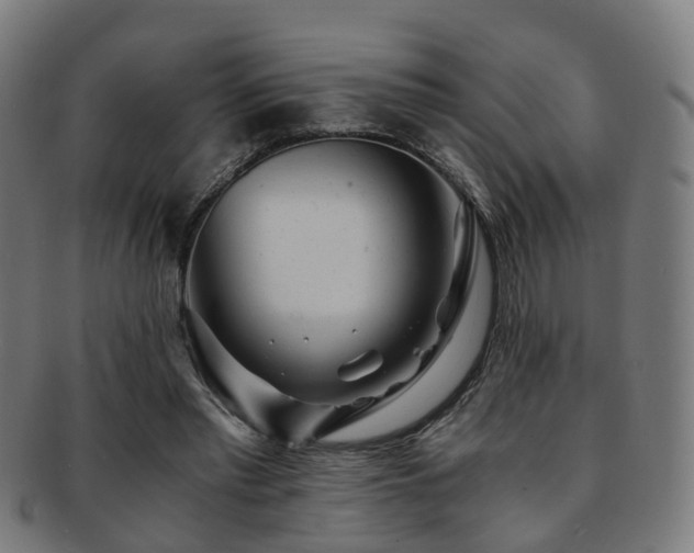 X0000091900397200709051407