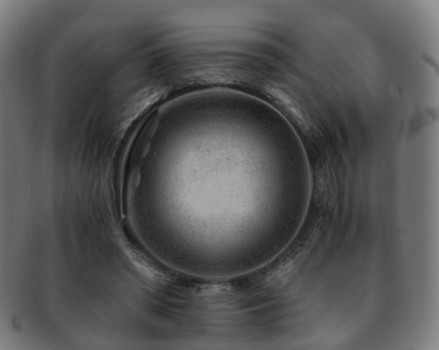 X0000091900398200709051407