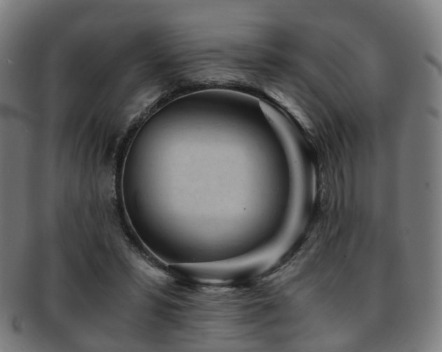 X0000091900399200709051407