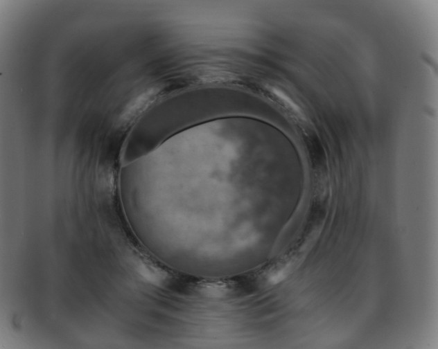 X0000091900405200709051406