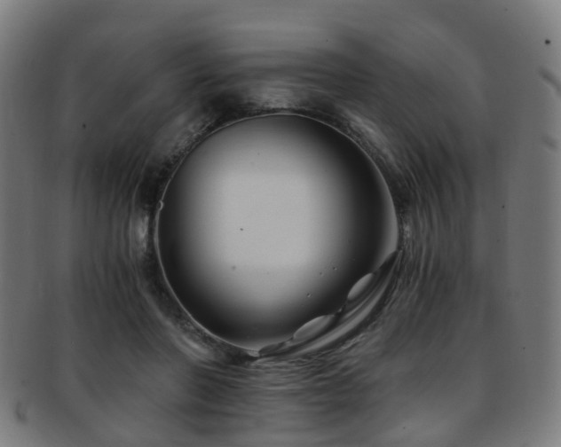 X0000091900406200709051406