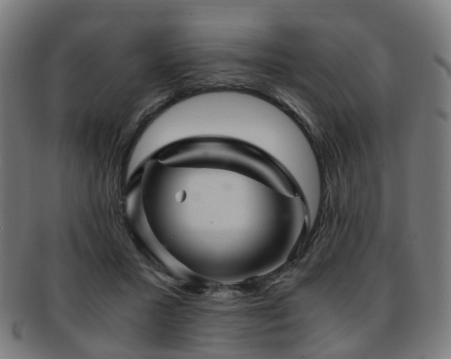 X0000091900407200709051406