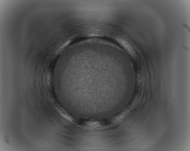 X0000091900409200709051406