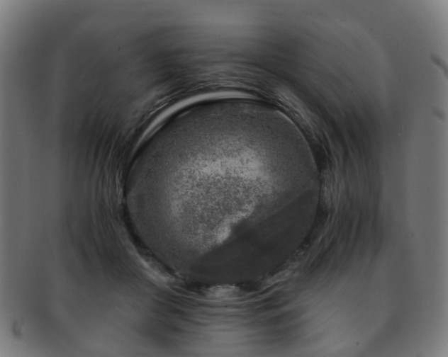 X0000091900410200709051406