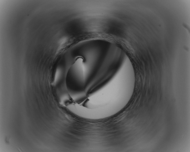 X0000091900416200709051406