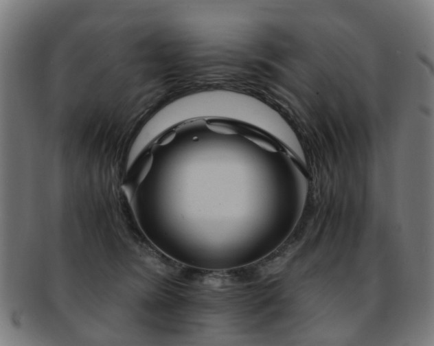 X0000091900420200709051406