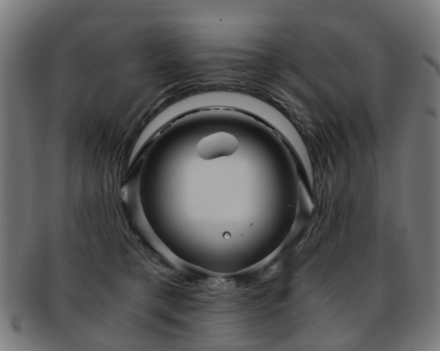 X0000091900421200709051406