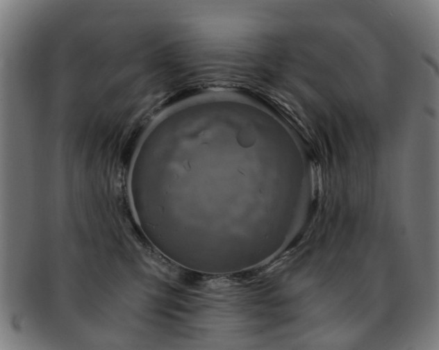 X0000091900423200709051406