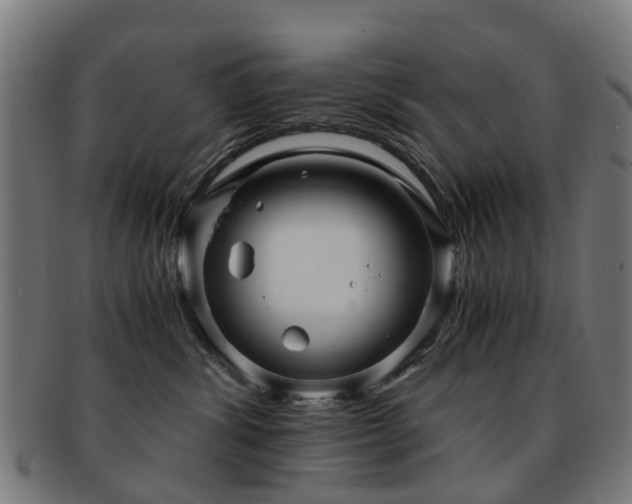 X0000091900428200709051406