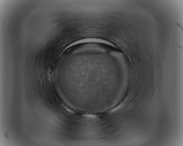 X0000091900432200709051406