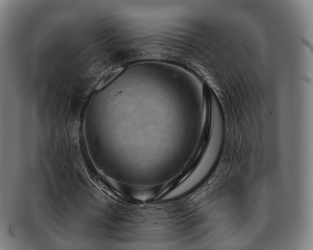 X0000091900434200709051406