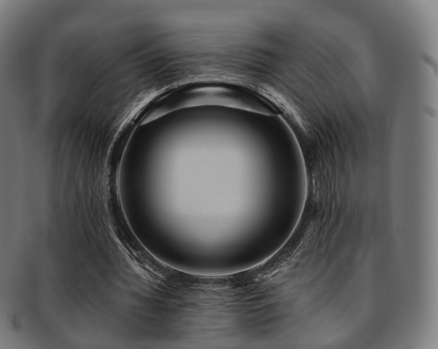 X0000091900436200709051406