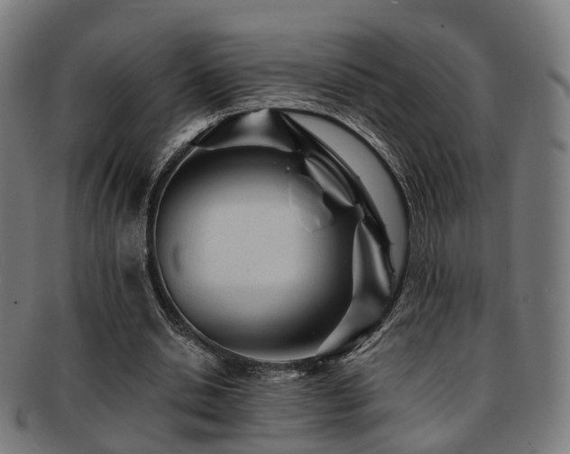 X0000091900438200709051406