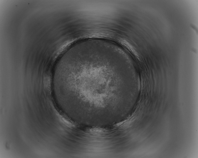 X0000091900444200709051406