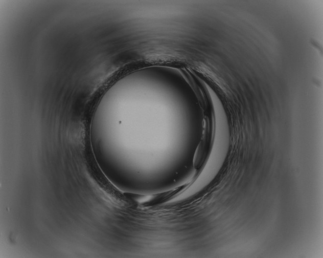 X0000091900448200709051406