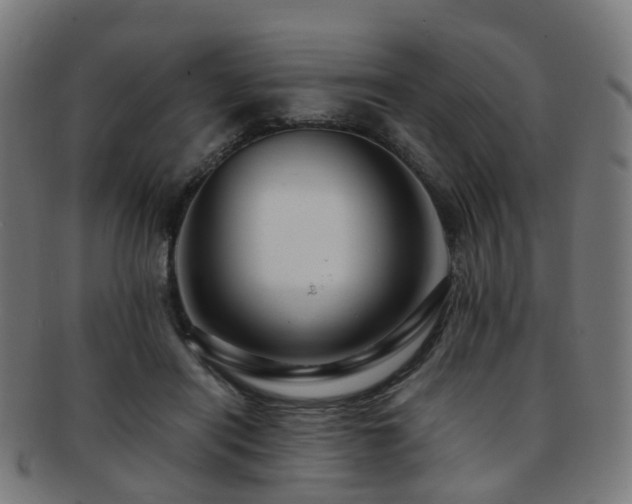 X0000091900454200709051406