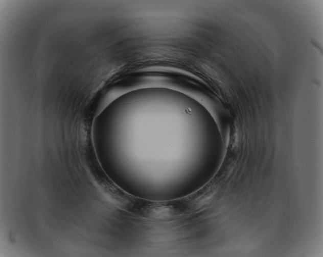 X0000091900456200709051406