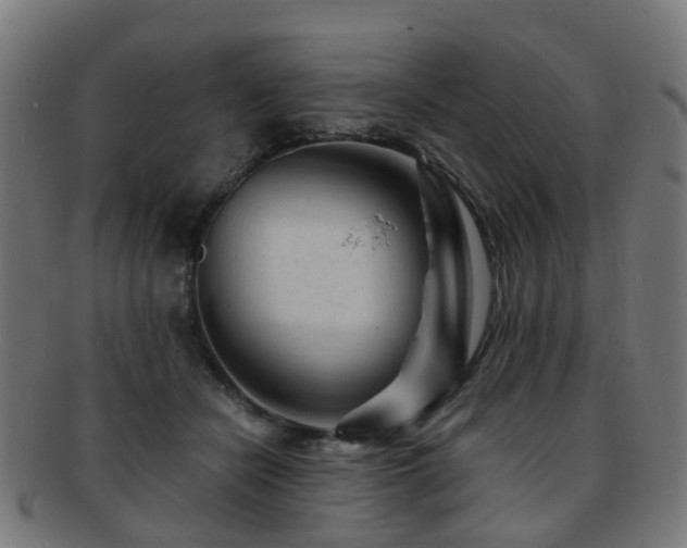 X0000091900462200709051406