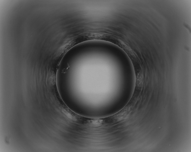 X0000091900474200709051406