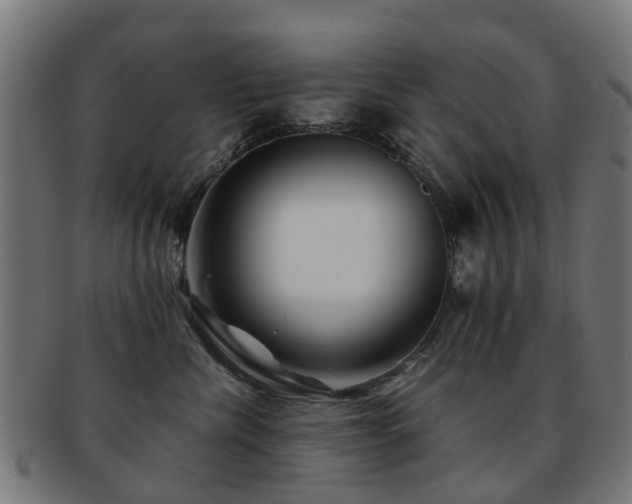 X0000091900476200709051406