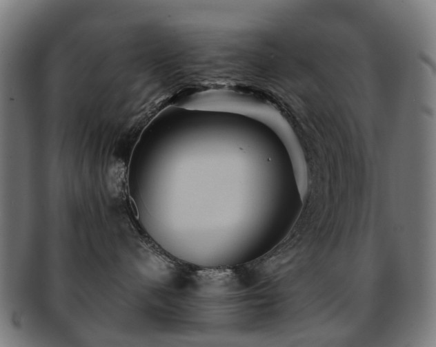 X0000091900480200709051406