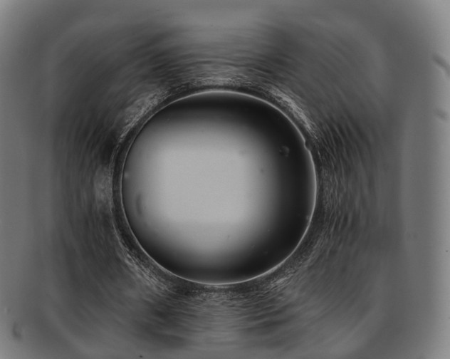 X0000091900482200709051406