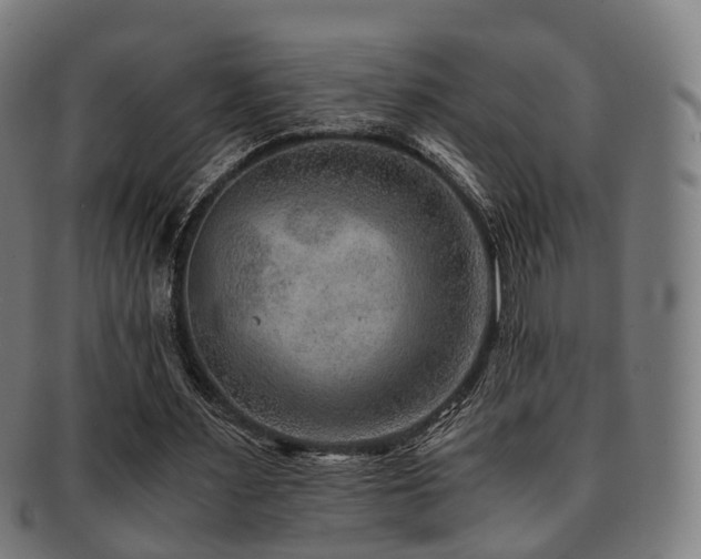 X0000091900483200709051406