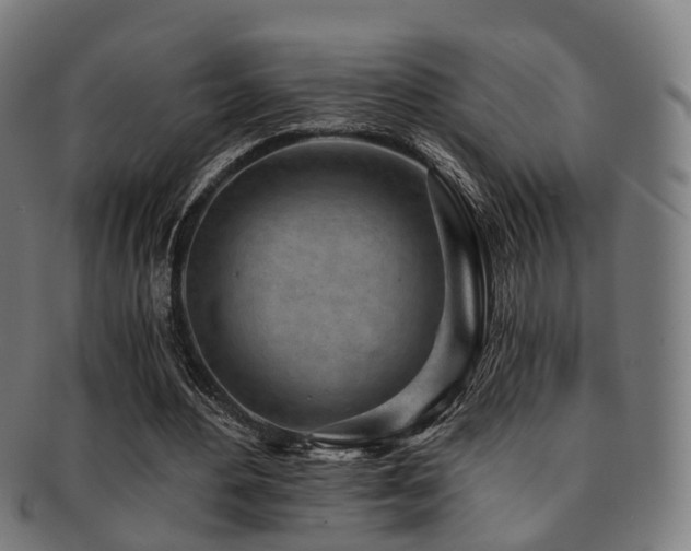 X0000091900484200709051405