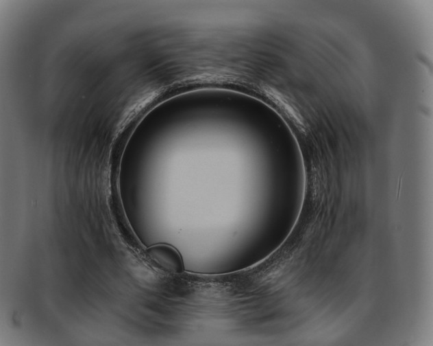 X0000091900486200709051405