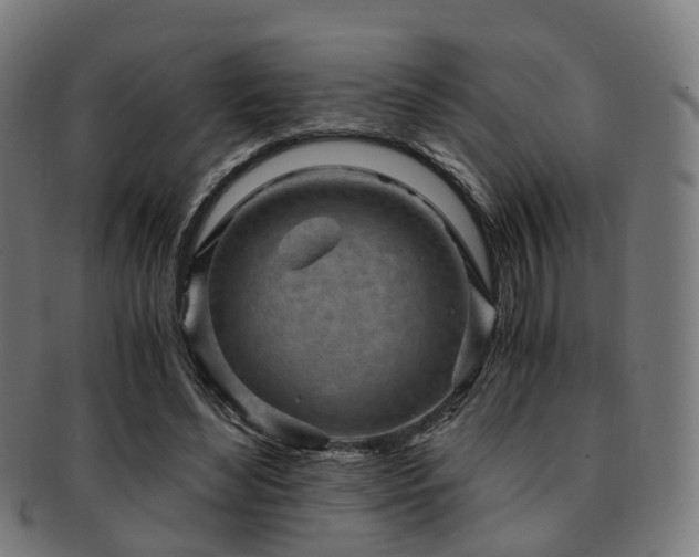 X0000091900492200709051405