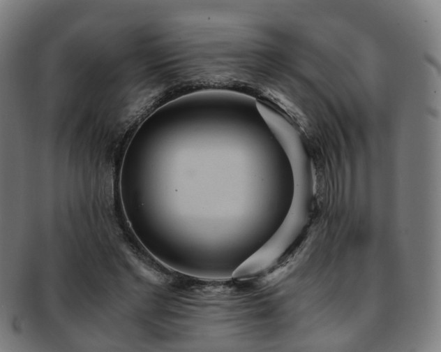 X0000091900493200709051405