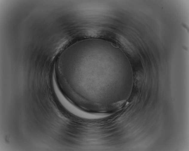 X0000091900500200709051405