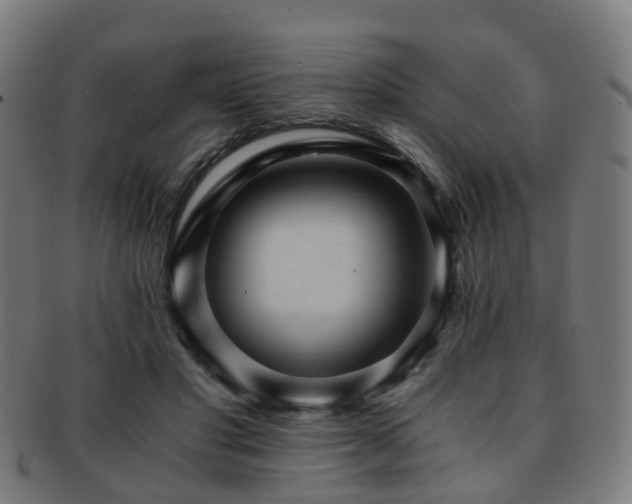 X0000091900501200709051405