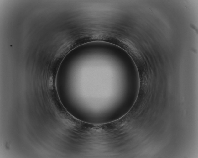 X0000091900502200709051405