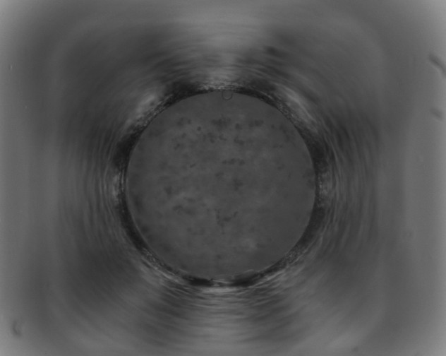 X0000091900503200709051405