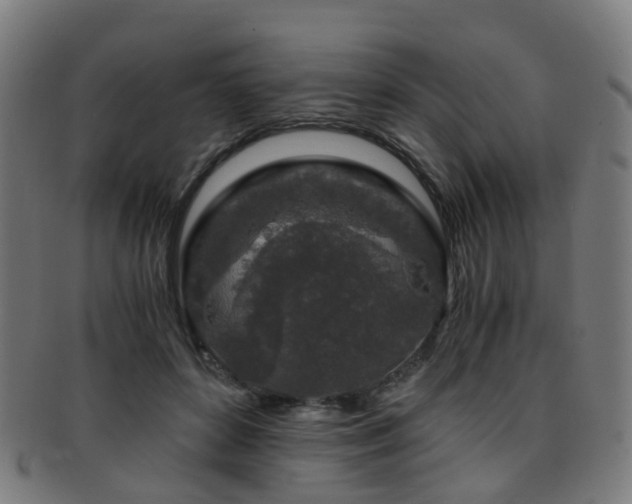 X0000091900504200709051405