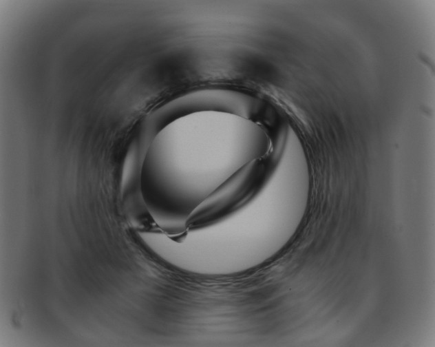 X0000091900505200709051405