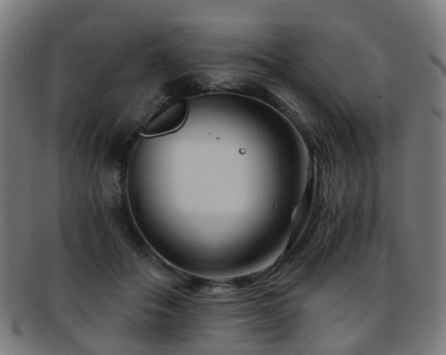 X0000091900506200709051405