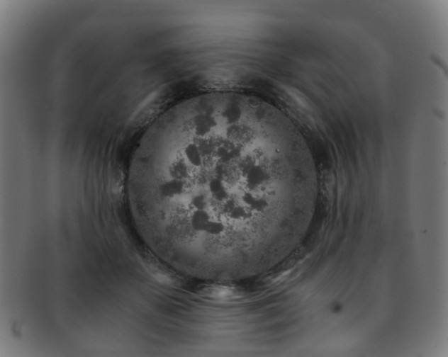 X0000091900507200709051405