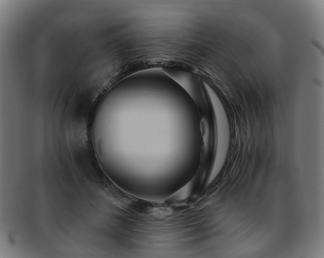 X0000091900508200709051405