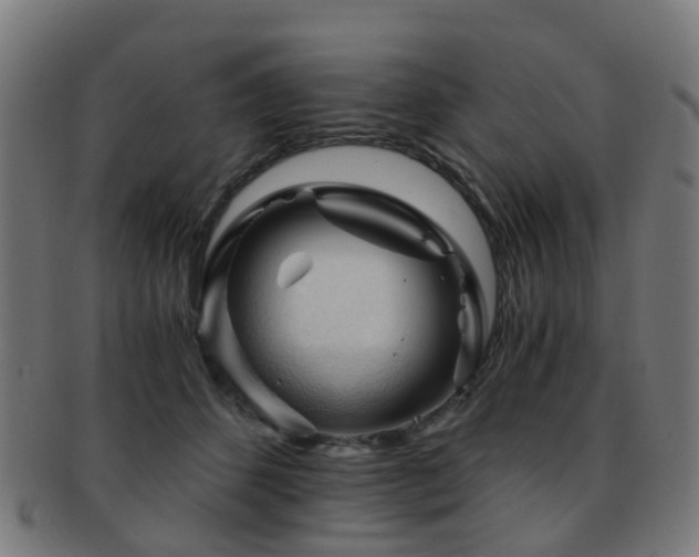 X0000091900512200709051405