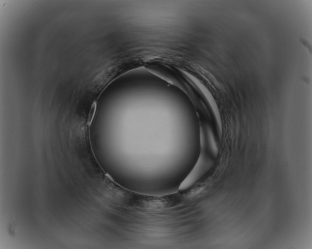 X0000091900513200709051405