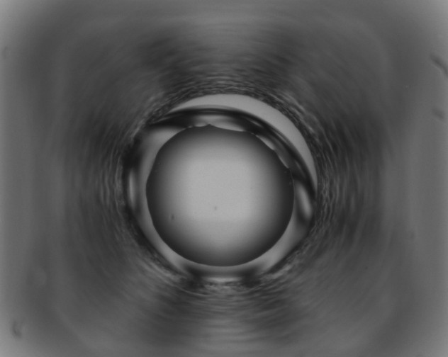 X0000091900516200709051405